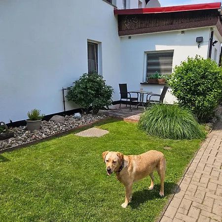 Tatil Evi Hundefreundliches